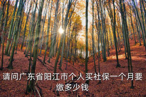 請問廣東省陽江市個人買社保一個月要繳多少錢