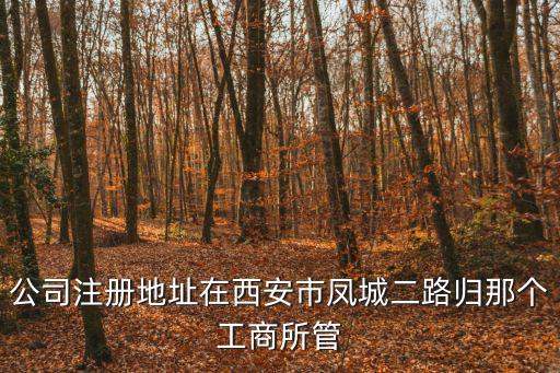 公司注冊地址在西安市鳳城二路歸那個工商所管