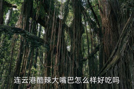 大嘴巴燒烤，連云港酷辣大嘴巴怎么樣好吃嗎