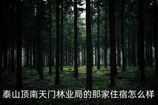 泰山頂南天門林業局的那家住宿怎么樣