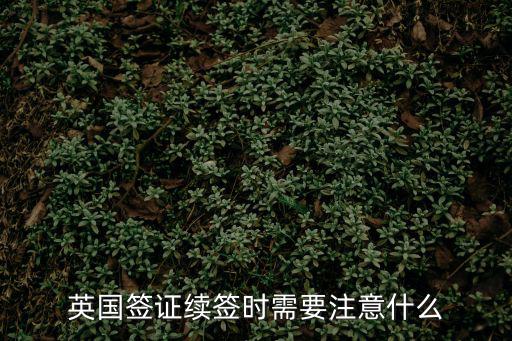 英國簽證續(xù)簽時(shí)需要注意什么
