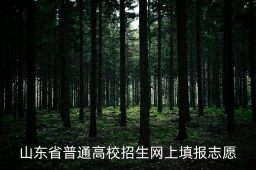 山東高考網官網，山東省普通高校招生網上填報志愿