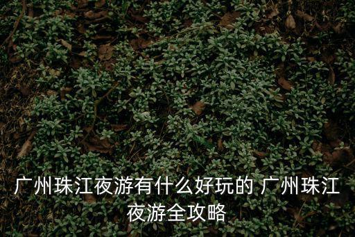 廣州珠江夜游有什么好玩的 廣州珠江夜游全攻略