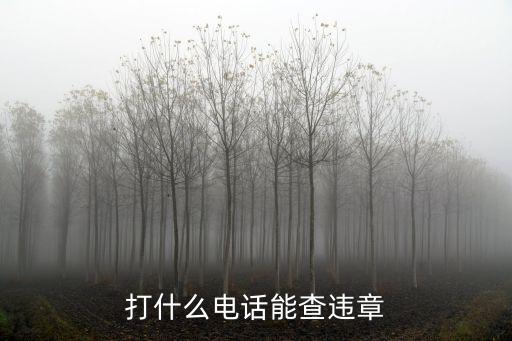 打什么電話能查違章