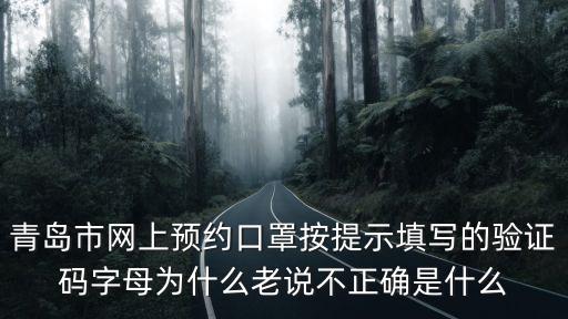青島市網上預約口罩按提示填寫的驗證碼字母為什么老說不正確是什么