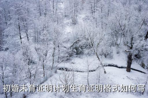 計劃生育證明模板，計劃生育證明證明格式