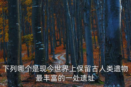下列哪個是現今世界上保留古人類遺物最豐富的一處遺址