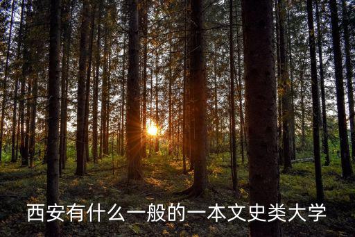 西安有什么一般的一本文史類大學