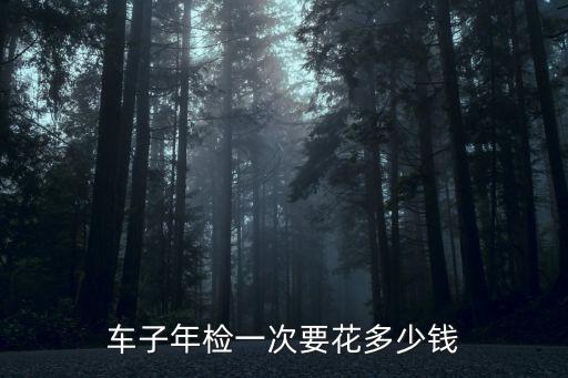 車子年檢一次要花多少錢