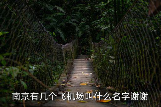 南京幾個機場，南京有幾個飛機場叫什么名字謝謝