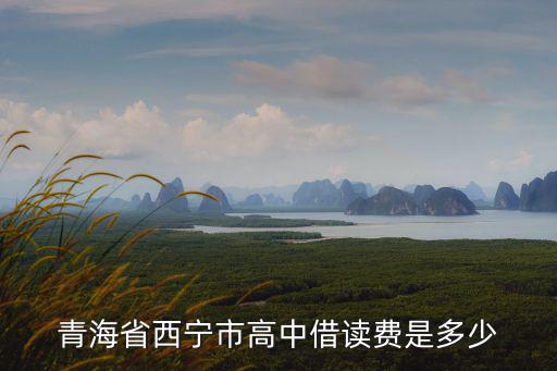 青海省西寧市高中借讀費(fèi)是多少