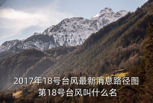 臺風實時路徑圖，臺風路徑實時發(fā)布系統(tǒng)的這個底圖是什么地圖