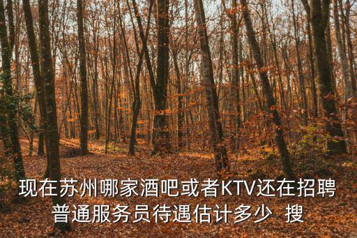 蘇州酒吧招聘，蘇州市區那個酒吧招聘吧麗
