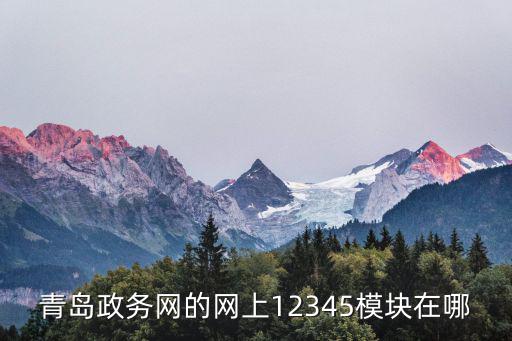 青島政務網的網上12345模塊在哪