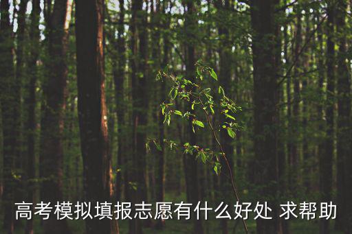 高考模擬填報志愿有什么好處 求幫助