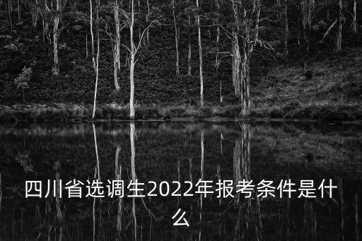 四川省選調生2022年報考條件是什么
