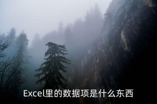 Excel里的數據項是什么東西