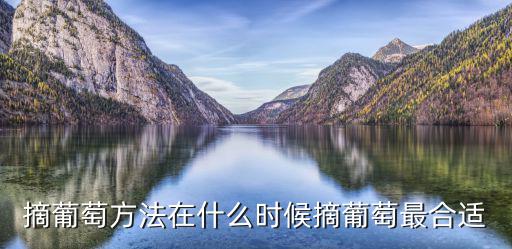 摘葡萄方法在什么時候摘葡萄最合適