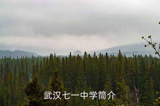 武漢七一中學(xué)筒介