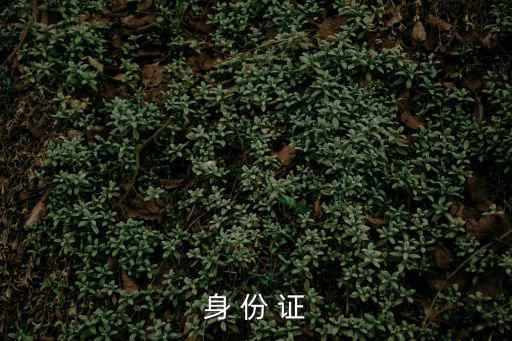 在線身份證，QQ身份證號