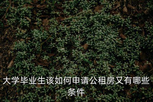 大學畢業生該如何申請公租房又有哪些條件