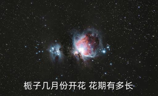 梔子幾月份開花 花期有多長