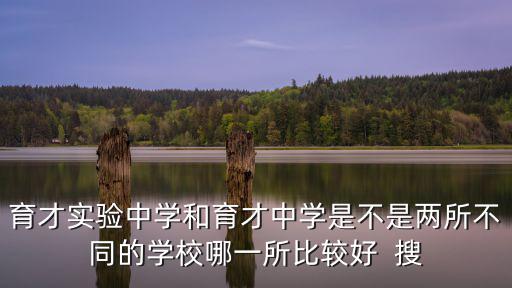 育才實驗中學和育才中學是不是兩所不同的學校哪一所比較好  搜