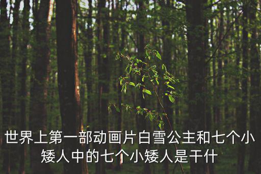 世界上第一部動(dòng)畫(huà)片白雪公主和七個(gè)小矮人中的七個(gè)小矮人是干什