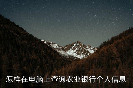 怎樣在電腦上查詢農(nóng)業(yè)銀行個(gè)人信息