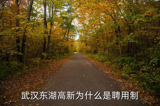 武漢東湖高新為什么是聘用制