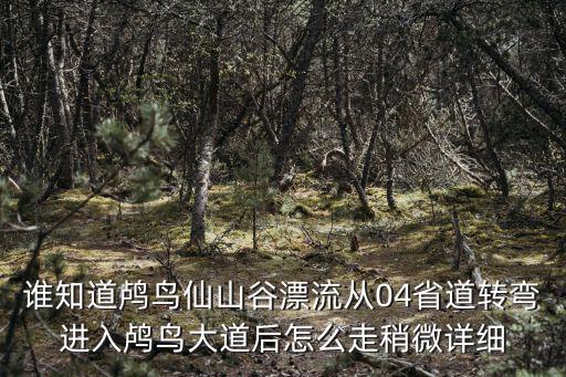 誰知道鸕鳥仙山谷漂流從04省道轉彎進入鸕鳥大道后怎么走稍微詳細