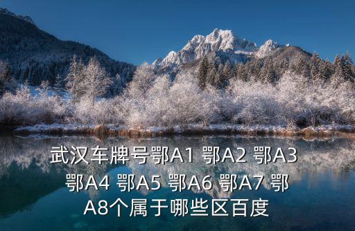 武漢車牌號鄂A1 鄂A2 鄂A3 鄂A4 鄂A5 鄂A6 鄂A7 鄂A8個屬于哪些區百度