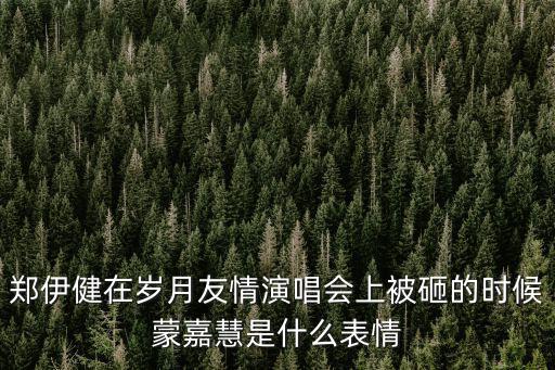 鄭伊健在歲月友情演唱會上被砸的時候蒙嘉慧是什么表情