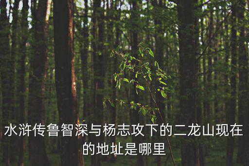 水滸傳魯智深與楊志攻下的二龍山現在的地址是哪里