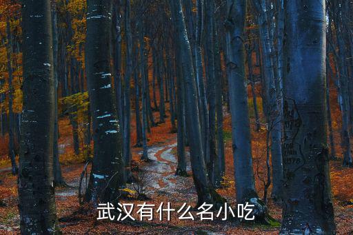 武漢有什么名小吃