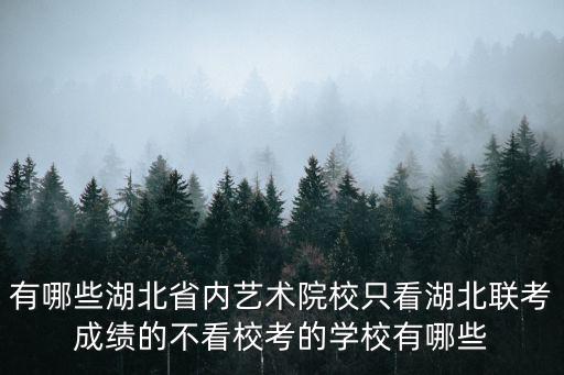 有哪些湖北省內(nèi)藝術(shù)院校只看湖北聯(lián)考成績(jī)的不看校考的學(xué)校有哪些