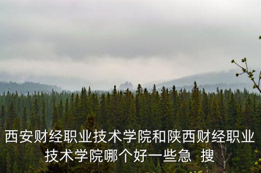 陜西財經職業技術學院，西安財經職業技術學院和陜西財經職業技術學院哪個好一些急  搜