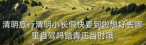 清明旅行清明小長假快要到啦想好去哪里自駕嗎踏青正當時哦