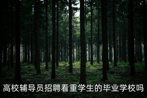 高校輔導員招聘看重學生的畢業學校嗎