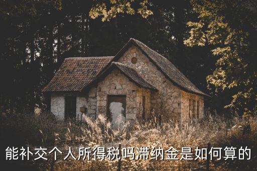 個(gè)稅補(bǔ)繳，能補(bǔ)交個(gè)人所得稅嗎滯納金是如何算的