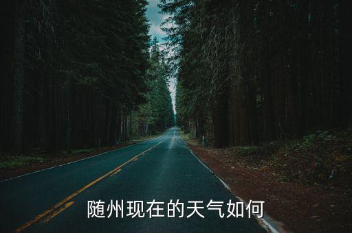 隨州現在的天氣如何