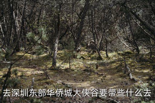 去深圳東部華僑城大俠谷要帶些什么去