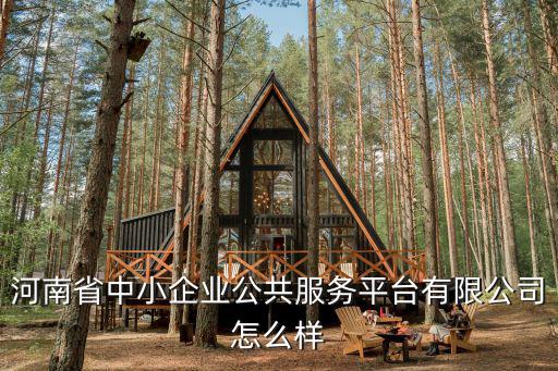 河南省中小企業(yè)公共服務(wù)平臺(tái)有限公司怎么樣