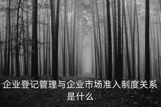 企業登記管理與企業市場準入制度關系是什么