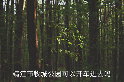 靖江市牧城公園可以開車進去嗎