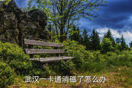 武漢一卡通消磁了怎么辦