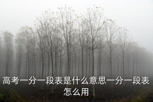 一分一檔，什么是一分一檔
