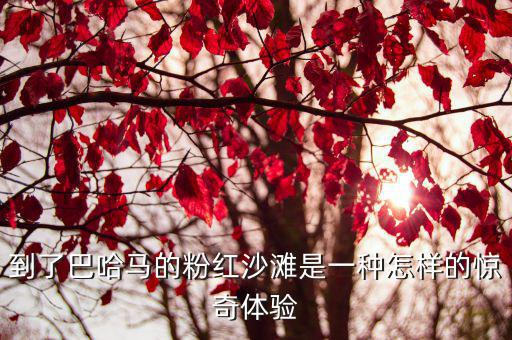 粉紅色沙灘，到了巴哈馬的粉紅沙灘是一種怎樣的驚奇體驗(yàn)