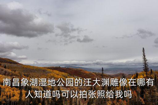 南昌象湖濕地公園的汪大淵雕像在哪有人知道嗎可以拍張照給我嗎