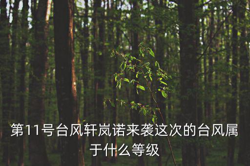第11號臺風軒嵐諾來襲這次的臺風屬于什么等級